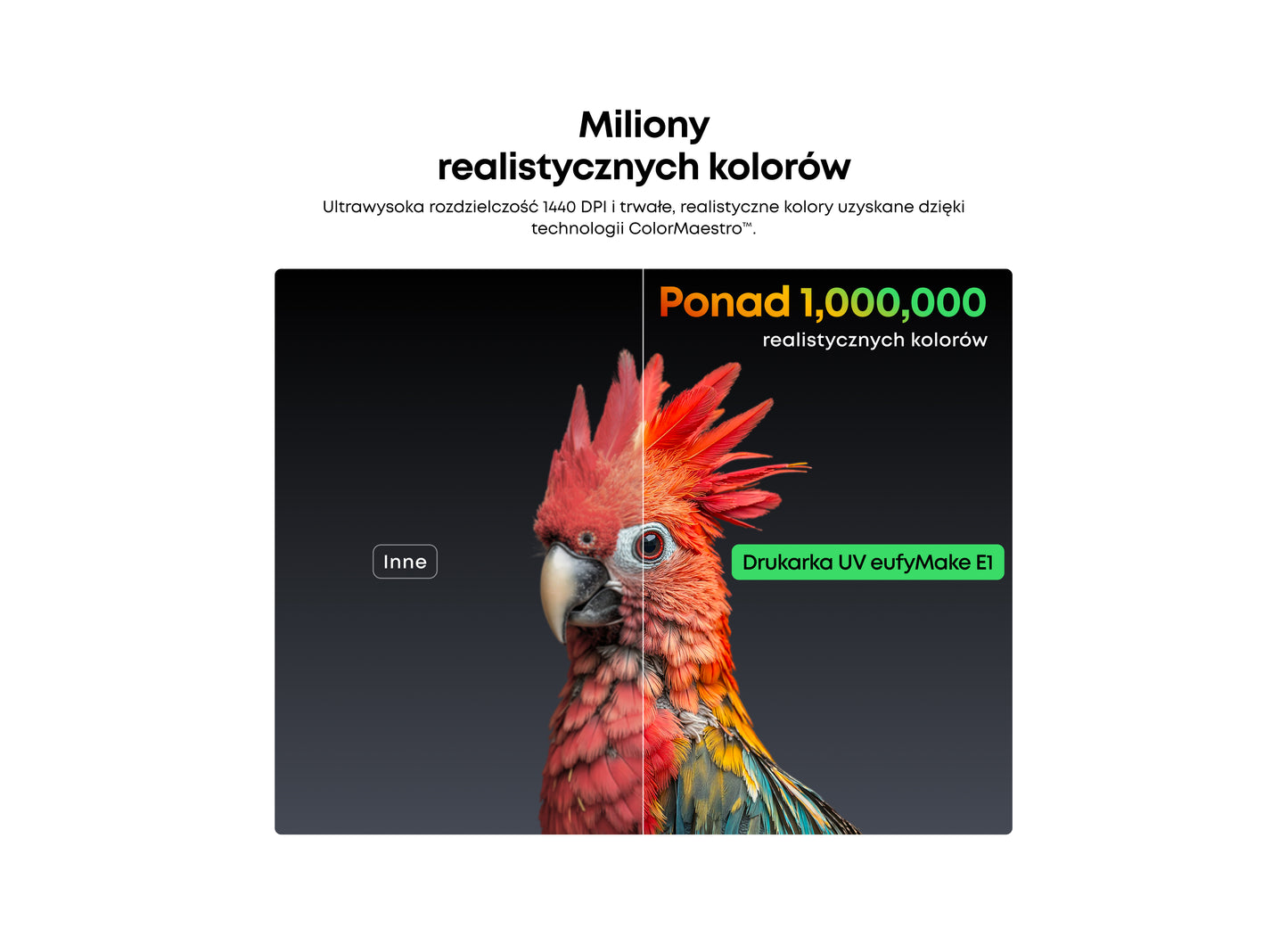 Drukarka UV eufyMake E1: pierwsza osobista drukarka z teksturą 3D